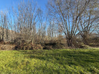 TERRENO AGRICOLO IN VENDITA A SANT’AMBROGIO DI TORINO DI CIRCA 2.000 MQ