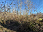 TERRENO AGRICOLO IN VENDITA A SANT’AMBROGIO DI TORINO DI CIRCA 2.000 MQ