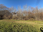TERRENO AGRICOLO IN VENDITA A SANT’AMBROGIO DI TORINO DI CIRCA 2.000 MQ