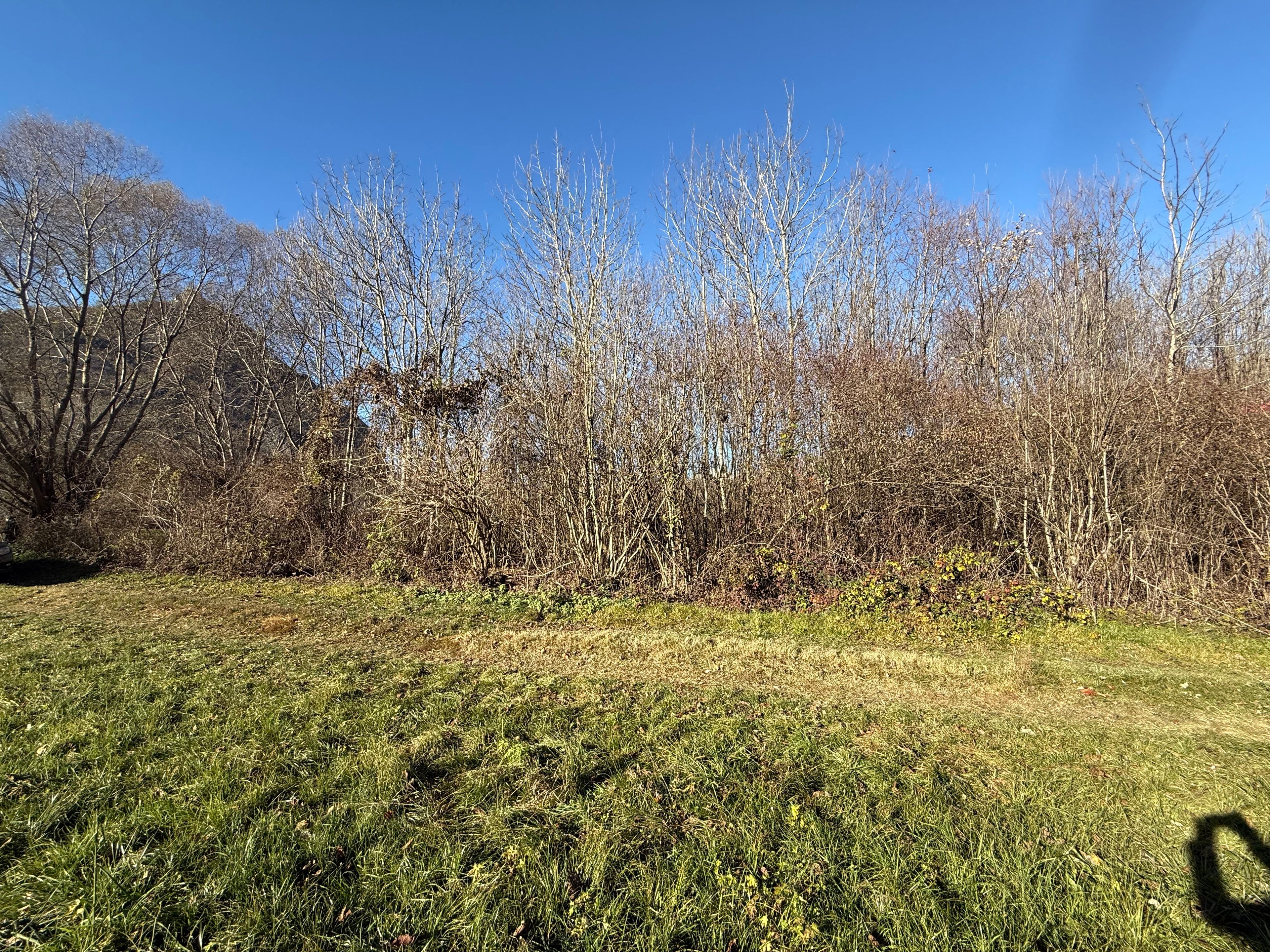 TERRENO AGRICOLO IN VENDITA A SANT’AMBROGIO DI TORINO DI CIRCA 2.000 MQ