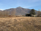 TERRENO EDIFICABILE IN VENDITA A SANT’AMBROGIO DI TORINO DI 10.000 MQ